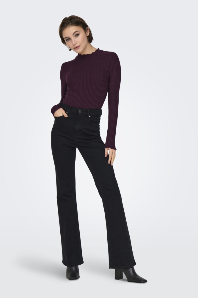 JDYFRANSISKA LIFE L/S HI-NCK TOP JR 15228065 Winetasting